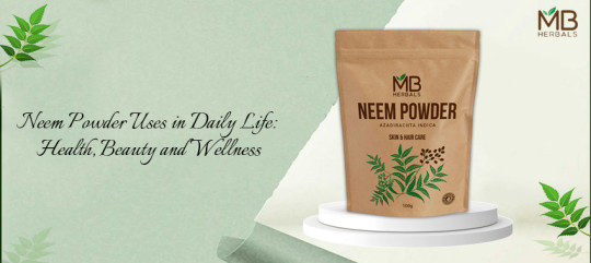 Neem Powder Uses in Daily Life: Health, Beauty and Wellness